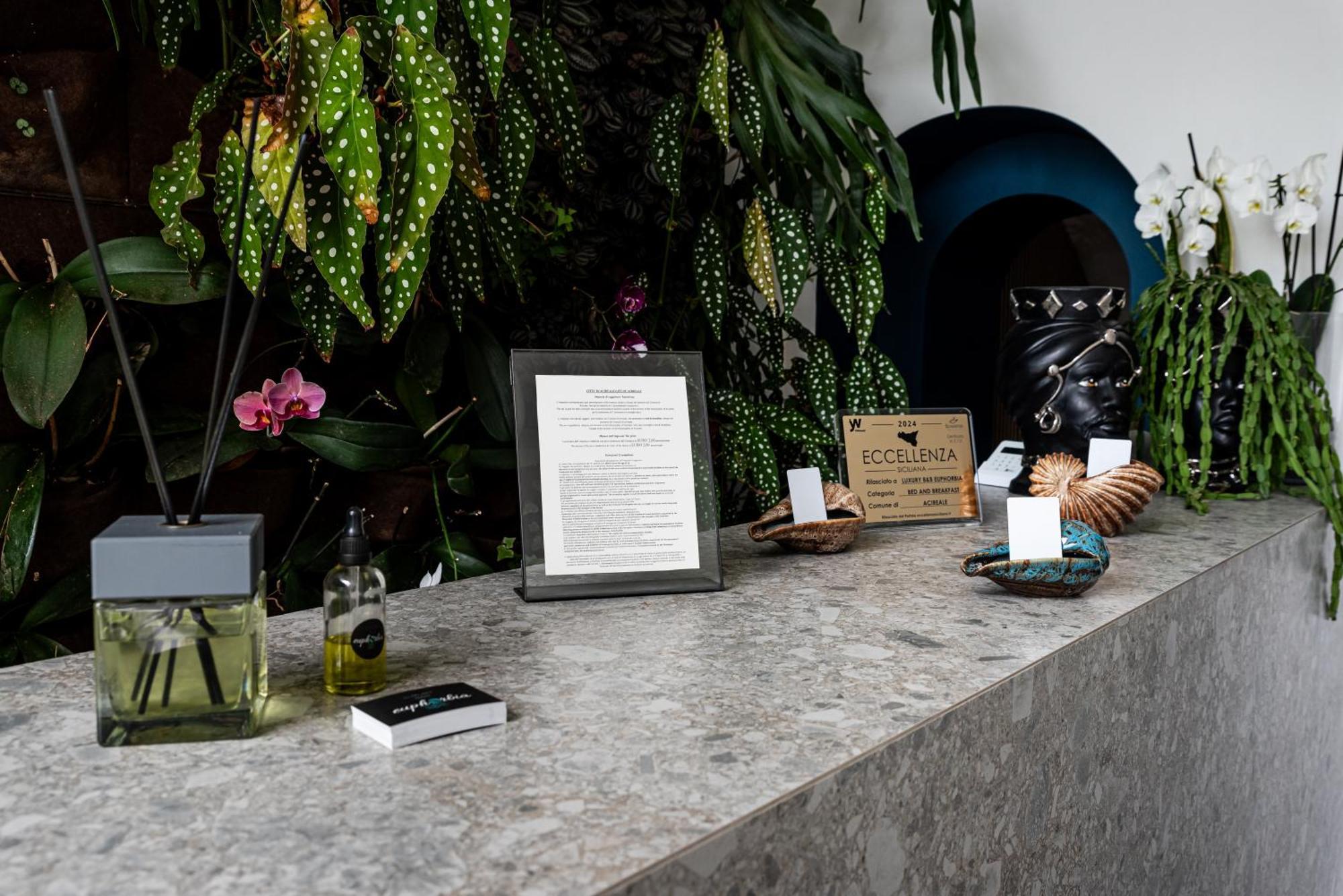 Luxury B&B Euphorbia Acireale Bagian luar foto